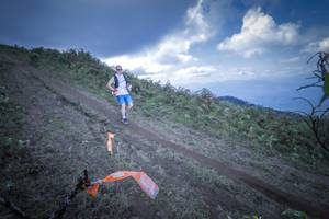 BIB: 5213
                            <button type="button" onclick="openModal(15955172)" class="btn btn-primary btn-sm float-right btn-popup" data-toggle="modal" data-target=".modal-high-quality">
                        <i class="fas fa-shopping-cart"></i> Add to Cart
                    </button>
                                            <button type="button" onclick="isThisMe(15955172, true)" class="btn btn-success btn-sm float-right btn-popup btn-isme hidden" data-toggle="tooltip" data-placement="bottom" title="นี่คือรูปของคุณใช่ไหม คลิกที่นี่เพื่อเอาเข้าอัลบั้ม">
                        <i class="fas fa-plus"></i> Add to album
                    </button>
                    <button type="button" onclick="isThisMe(15955172, false)" class="btn btn-warning btn-sm float-right btn-popup btn-isnotme hidden">
                        <i class="fas fa-ban"></i> Remove from album
                    </button>